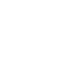 Bangladesh Government